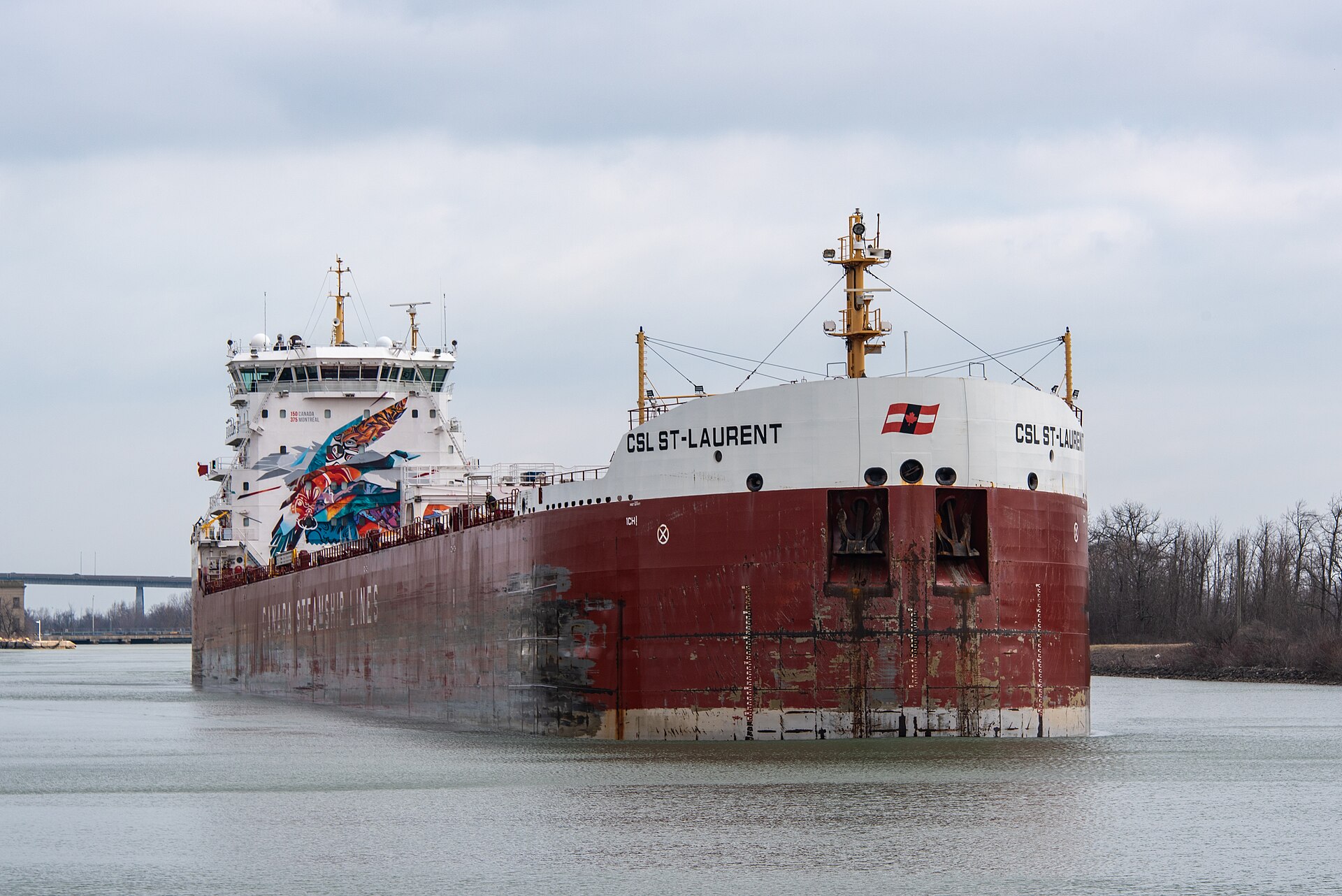 Mayborne Bulk Launches Dry Bulk Shipping Venture in Dubai