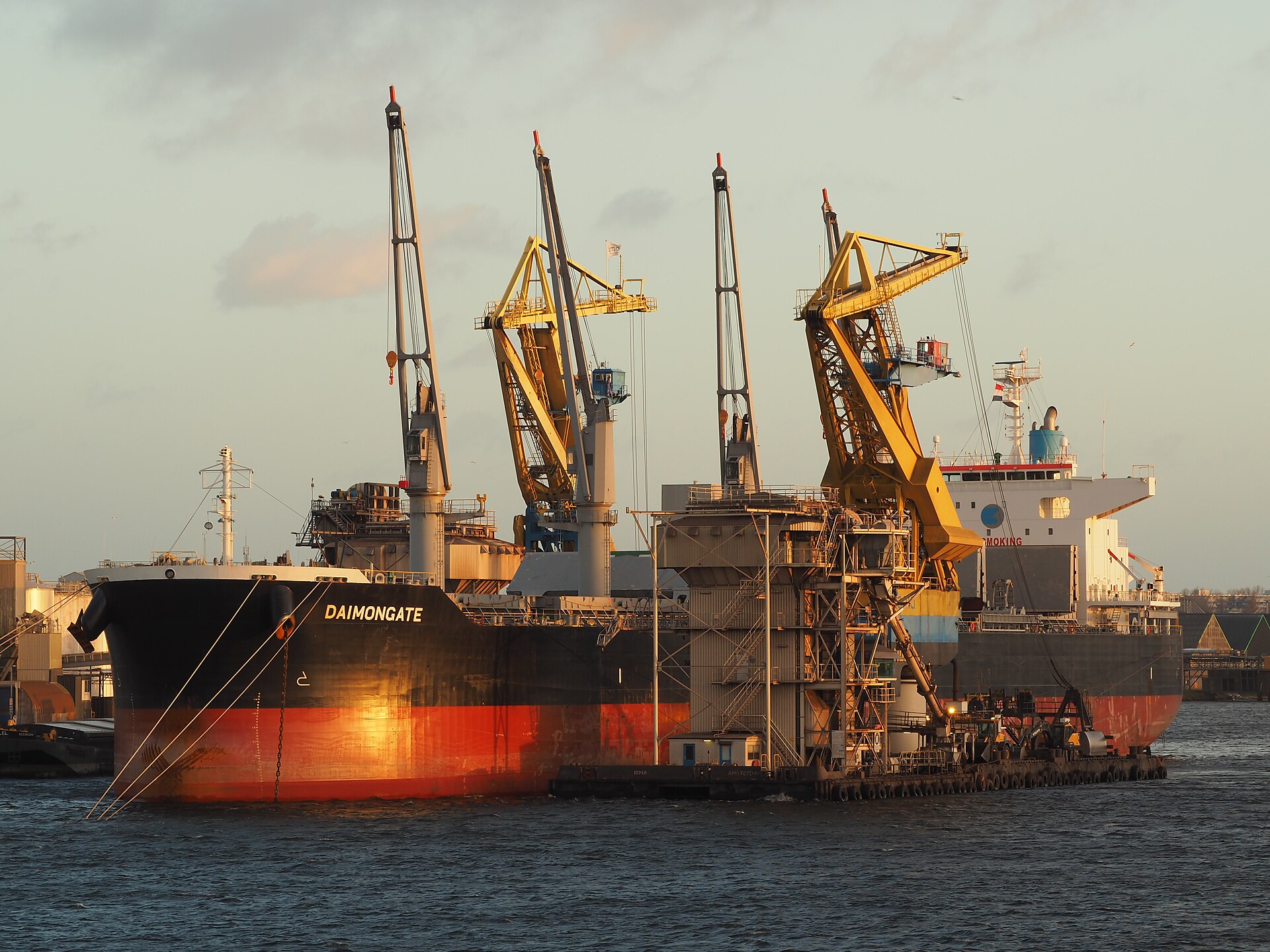 Diana Shipping Secures Lucrative Charter for DSI Pegasus from Fednav