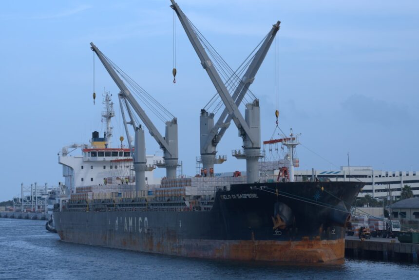 China's Coal Demand Boosts Dry Bulk Shipping Amid Geopolitical Tensions