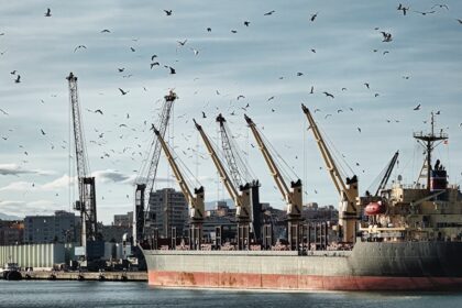 Black Sea Grain Trade Faces Severe Disruption from Attacks