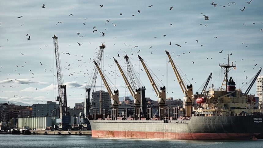 Black Sea Grain Trade Faces Severe Disruption from Attacks