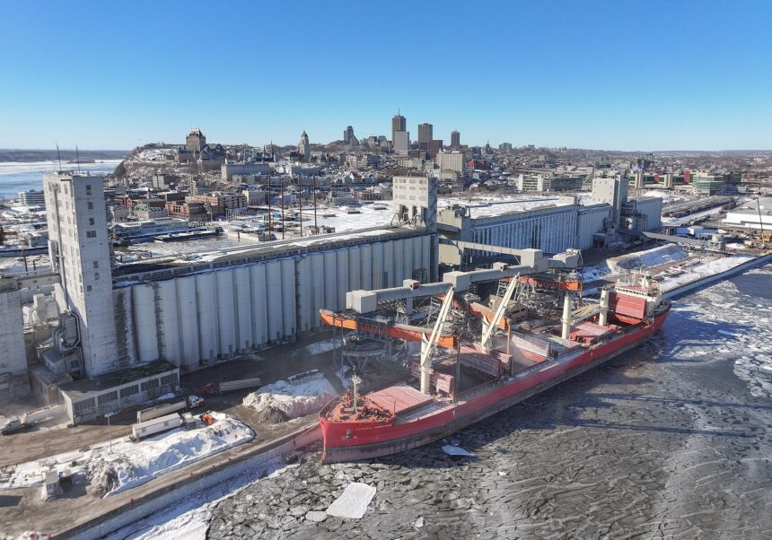 Ukrainian Attack on Novorossiysk Targets Grain Terminals, Naval Base