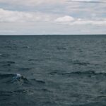 Drone Attacks Target ADNOC Tankers in Strait of Hormuz
