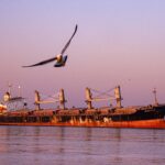 Fatal Strike on MINOAN DIGNITY Raises Tensions in Strait of Hormuz