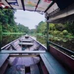 Amazon Drought Prompts MSC to Implement Container Surcharges