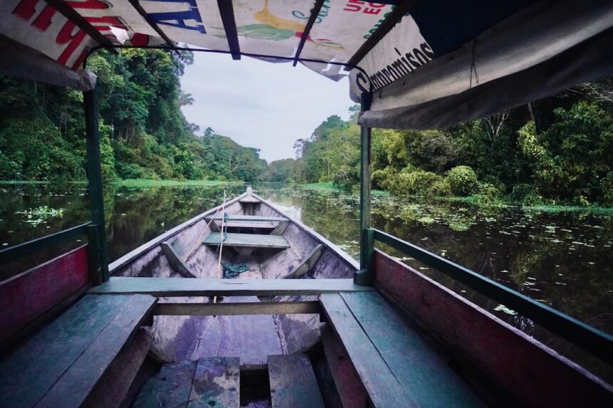 Amazon Drought Prompts MSC to Implement Container Surcharges