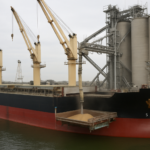 Up to 70 Ships Delayed Off Danube Amid Ukraine Grain Export Bottleneck