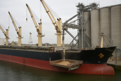 Up to 70 Ships Delayed Off Danube Amid Ukraine Grain Export Bottleneck