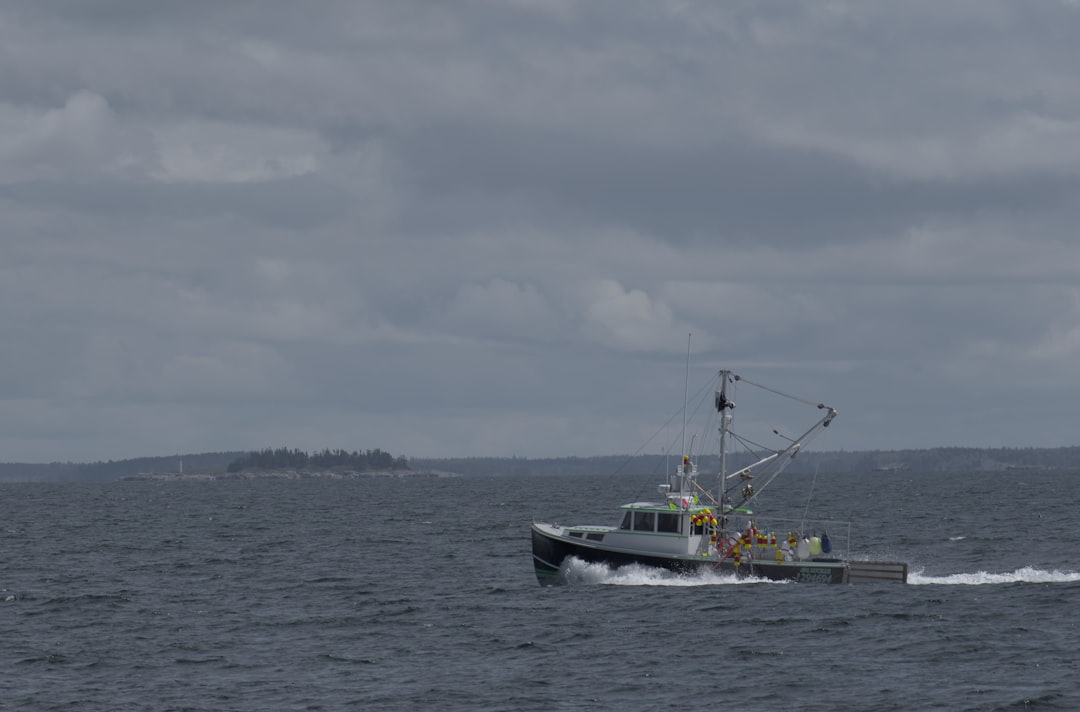 Drone Strike Injures Three on Turkish Roro Nadezhda Near Novorossiysk
