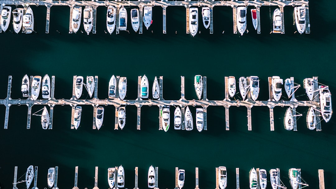DNV Urges Shipowners to Diversify Decarbonization Strategies