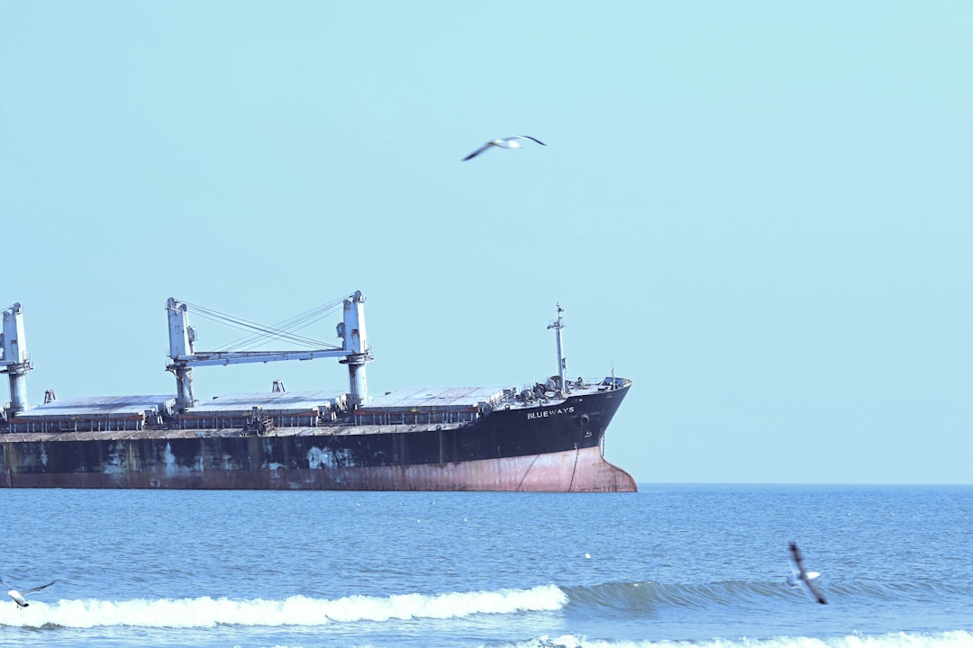 Singapore Establishes Green Shipping Corridor with Brazil