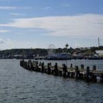 Drone Strike Causes Fire at Russia's Ust-Luga Export Port