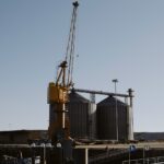 Russian Wheat Loadings Drop 60% as Baltic Routes Gain Traction
