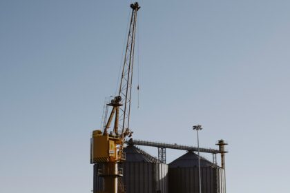 Russian Wheat Loadings Drop 60% as Baltic Routes Gain Traction