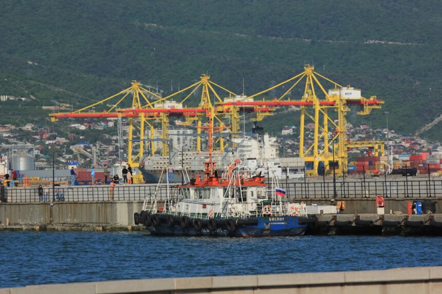 SAFEEN Drydocks Unveils UAE's Largest Floating Dock at Zayed Port