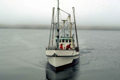 IBIA Urges Enhanced Protection for Seafarers Amid Recent Attacks
