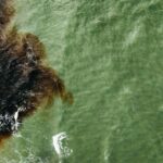 Environmental Crisis Grows as Oil Spills in Strait of Hormuz