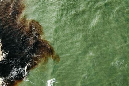 Environmental Crisis Grows as Oil Spills in Strait of Hormuz
