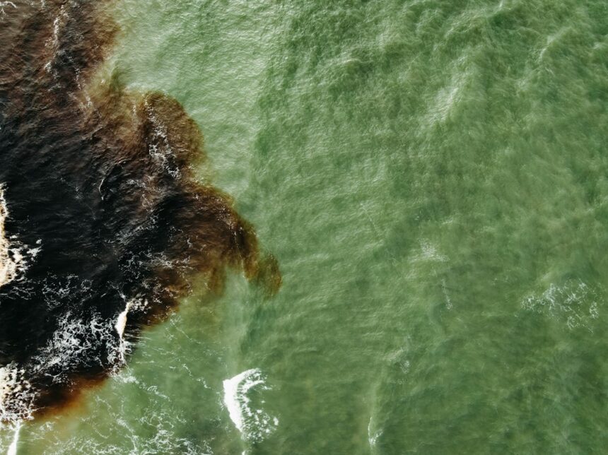 Environmental Crisis Grows as Oil Spills in Strait of Hormuz