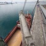 Black Sea Blockade Risks Global Food Supply Crisis Amid Ukraine Conflict