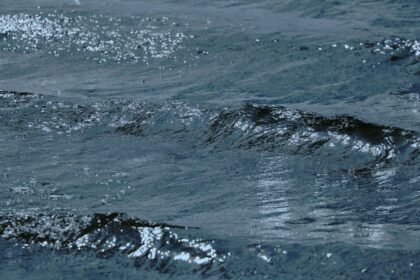 Ships Contribute to Over 90% of Chronic Ocean Oil Pollution