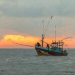 Hatch Failure Leads to Fatal Sinking of Argos Georgia Near Falklands