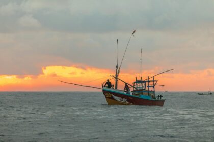 Hatch Failure Leads to Fatal Sinking of Argos Georgia Near Falklands