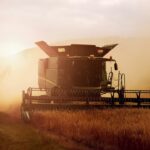 Russia Could Restore 80% of Black Sea Grain Export Capacity
