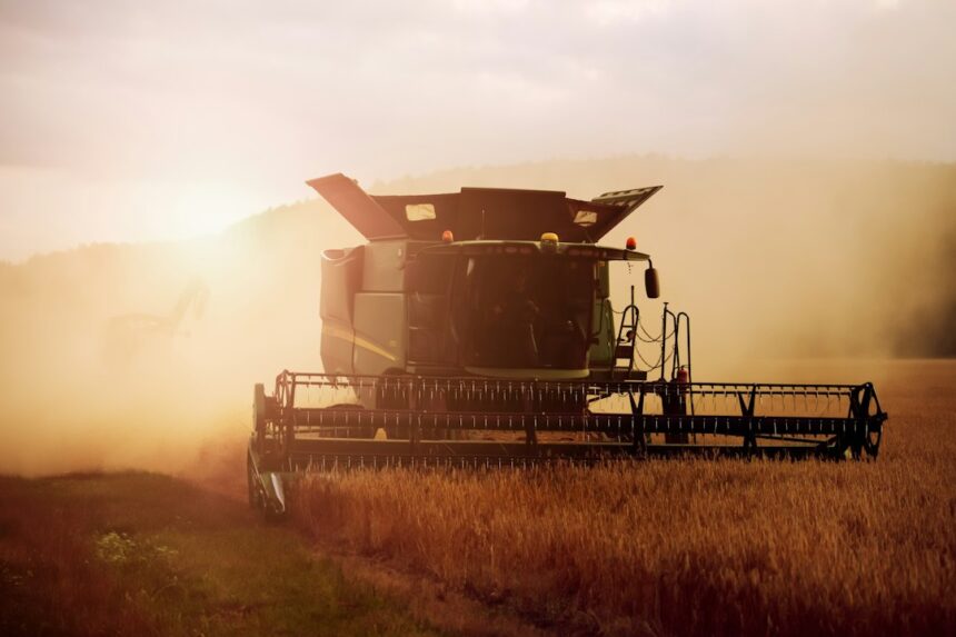 Russia Could Restore 80% of Black Sea Grain Export Capacity