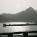 Record Low Rhine Levels Challenge Shipping Companies' Operations