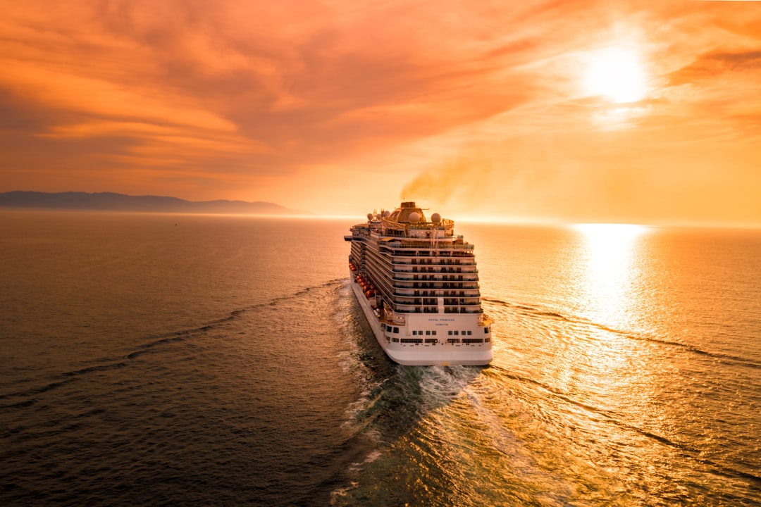 Danube Congestion Impacts Cargo Vessel Availability in Black Sea
