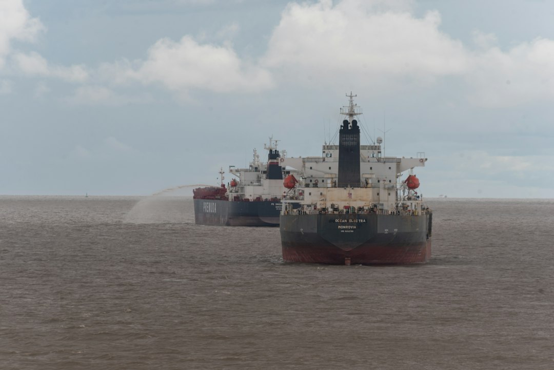 Dry Bulk Fleet Capacity Shrinks Amid Slower Speeds and Longer Voyages