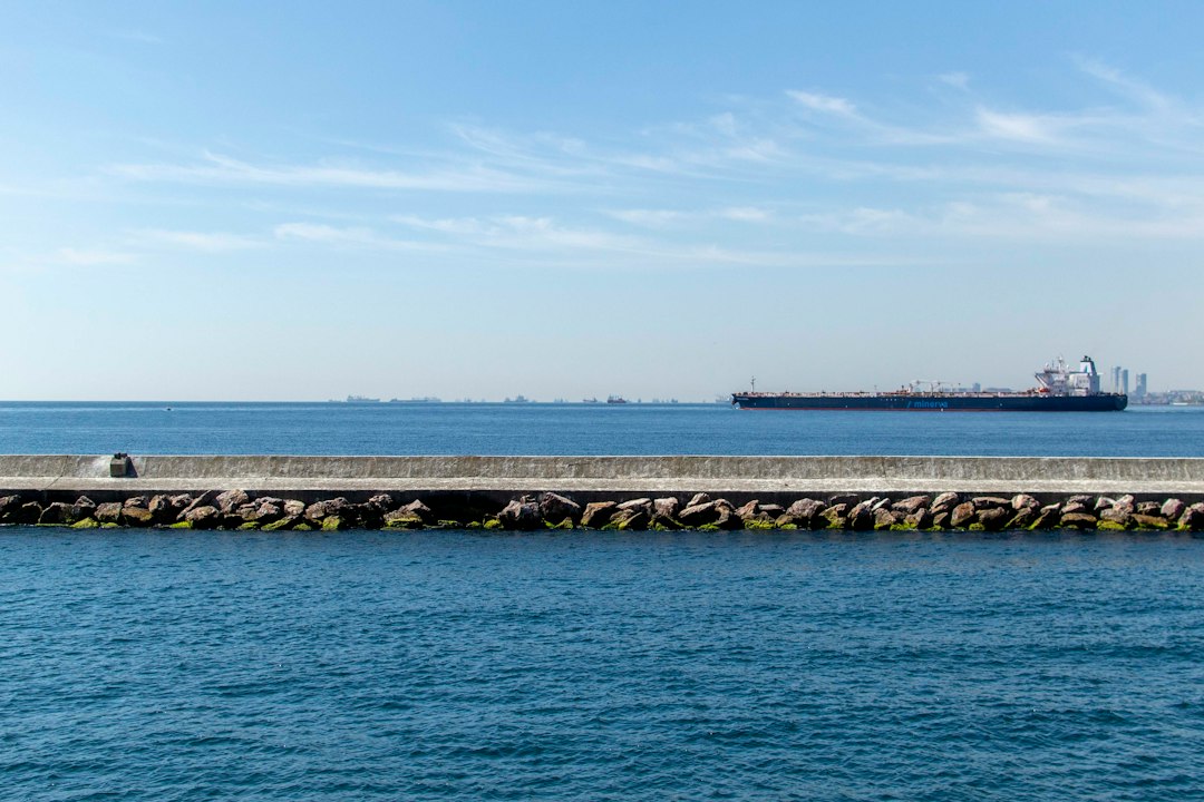 Capesize Market Thrives Amid Concerns Over Chinese Steel Demand