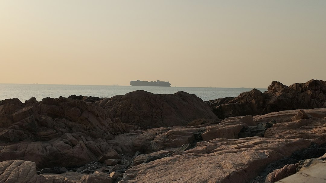 Ship Prices Surge Amid Surge in Newbuilding Orders Across Sectors