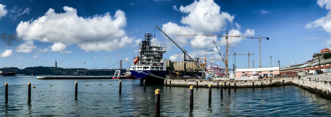 Russia Could Restore 80% of Black Sea Grain Export Capacity