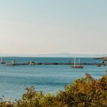 Increased Drone Strikes Complicate Black Sea Shipping Operations