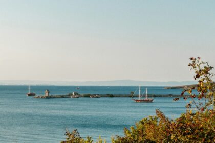 Increased Drone Strikes Complicate Black Sea Shipping Operations