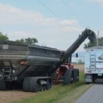 Baltic States Propose EU-Wide Ban on Russian Grain Transit