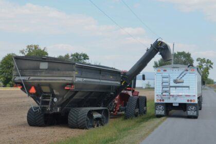Baltic States Propose EU-Wide Ban on Russian Grain Transit