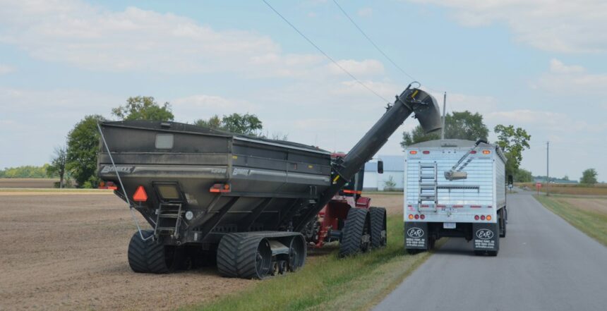 Baltic States Propose EU-Wide Ban on Russian Grain Transit