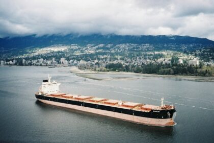 Ukraine Pursues Black Sea Grain Corridor Talks with Turkey, Egypt, India